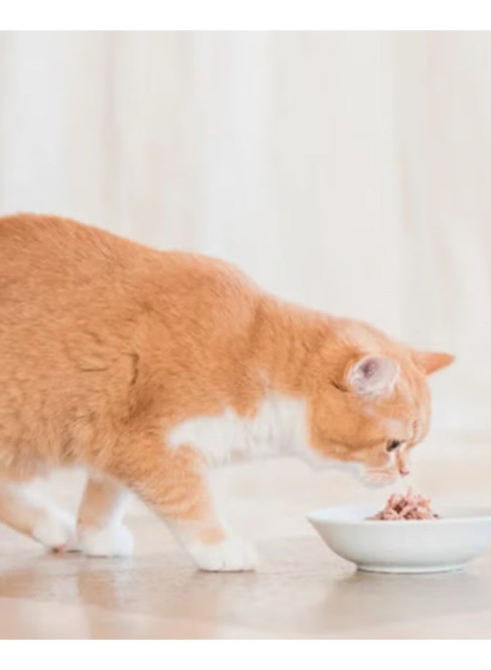 Schesir 6 Packs of NT Style Tuna in Multi-Color Cooking Water 6 x 50g - Image 2