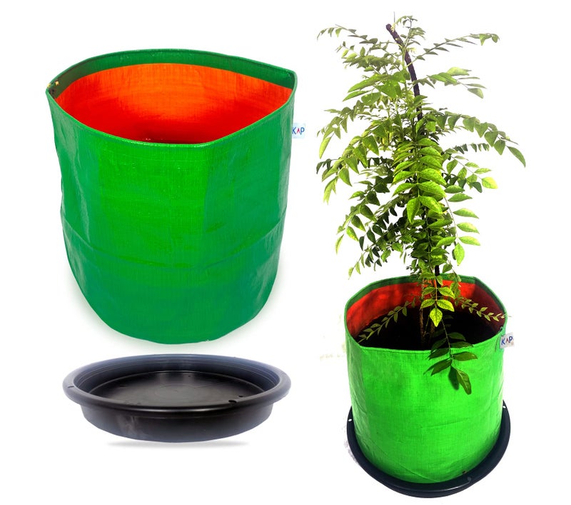 KAP Grow Bags + KAP Tray Pots for Kitchen, Balcony and Terrace Gardens – 12" X 12" Inches – (Pack of 2) - Image 1