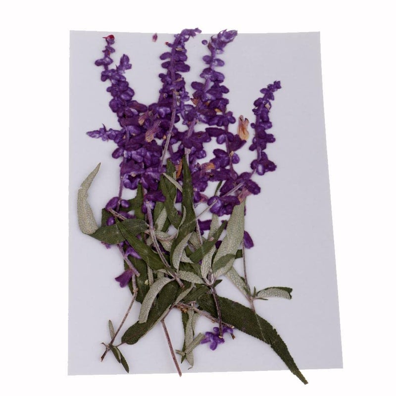 Pressed Dried Purple Flowers and Leaves for Resin Arts Crafts Supplies Gift - Image 2