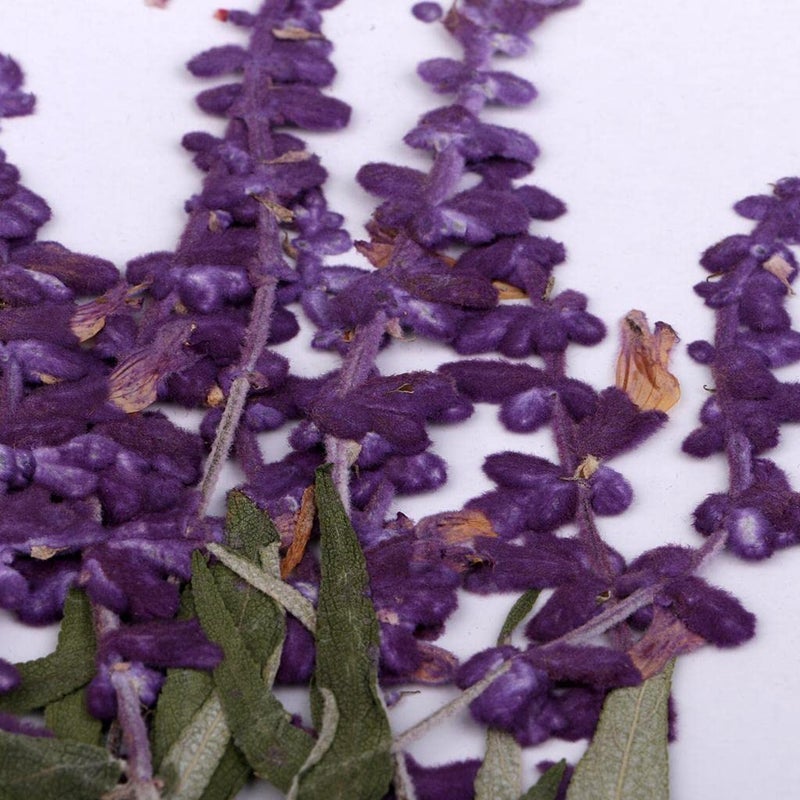 Pressed Dried Purple Flowers and Leaves for Resin Arts Crafts Supplies Gift - Image 4
