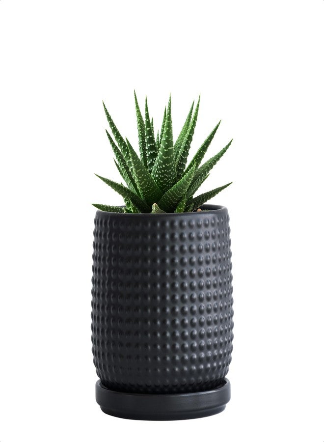 D'vine Dev 4 Inch Ceramic Beaded Stoneware Planter Pot - Flower Pot with Drainage Holes and Saucers for Indoor Succulent Plants or Flowers, Ebony Matte, 27-C-Z-6 - Image 1