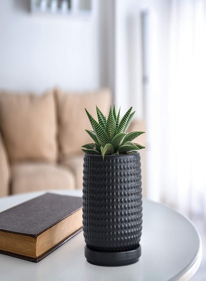 D'vine Dev 4 Inch Ceramic Beaded Stoneware Planter Pot - Flower Pot with Drainage Holes and Saucers for Indoor Succulent Plants or Flowers, Ebony Matte, 27-C-Z-6 - Image 5