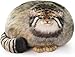 Maomoto Steppe Cat Plush Cat Stuffed Animal 18inch Pallas Cat Plush Pillow Cute Plushies for Girls Soft Plush Pillow Throw Pillow Doll Decoration Doll Gift for Kids Boys Party Christmas - Image 2