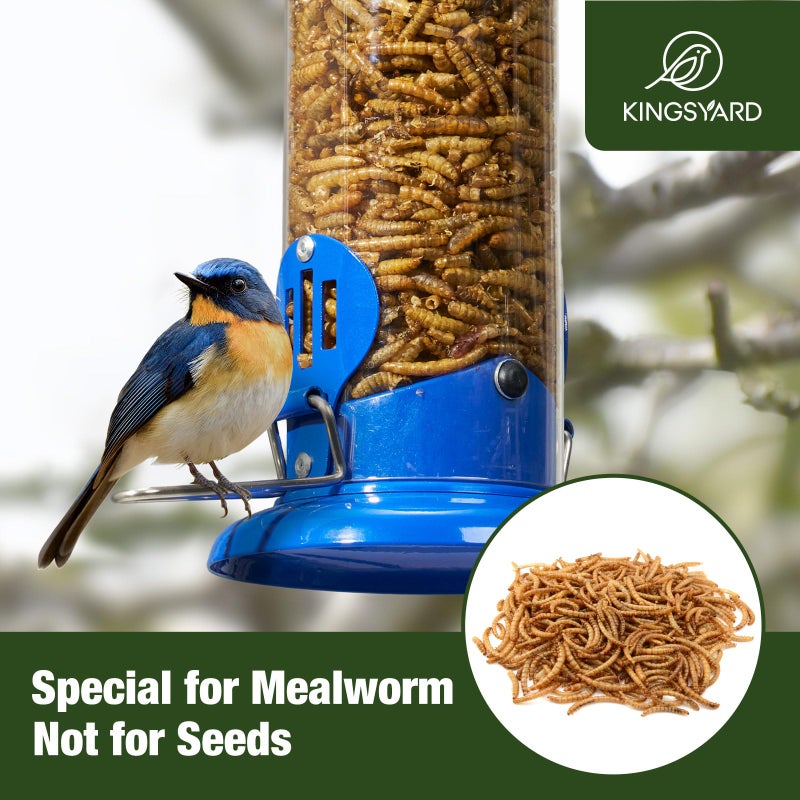 Kingsyard Upgraded Bluebird Feeder for Outdoors Hanging, Metal Mealworm Tube Bird Feeder with Widen Perch for Wild Birds, Squirrel Chew Proof, Easy to Refill & Clean(Blue) - Image 5