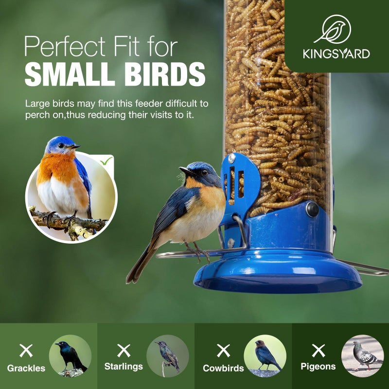 Kingsyard Upgraded Bluebird Feeder for Outdoors Hanging, Metal Mealworm Tube Bird Feeder with Widen Perch for Wild Birds, Squirrel Chew Proof, Easy to Refill & Clean(Blue) - Image 3