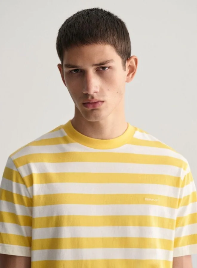 غانت Gant Multi Striped T-Shirt