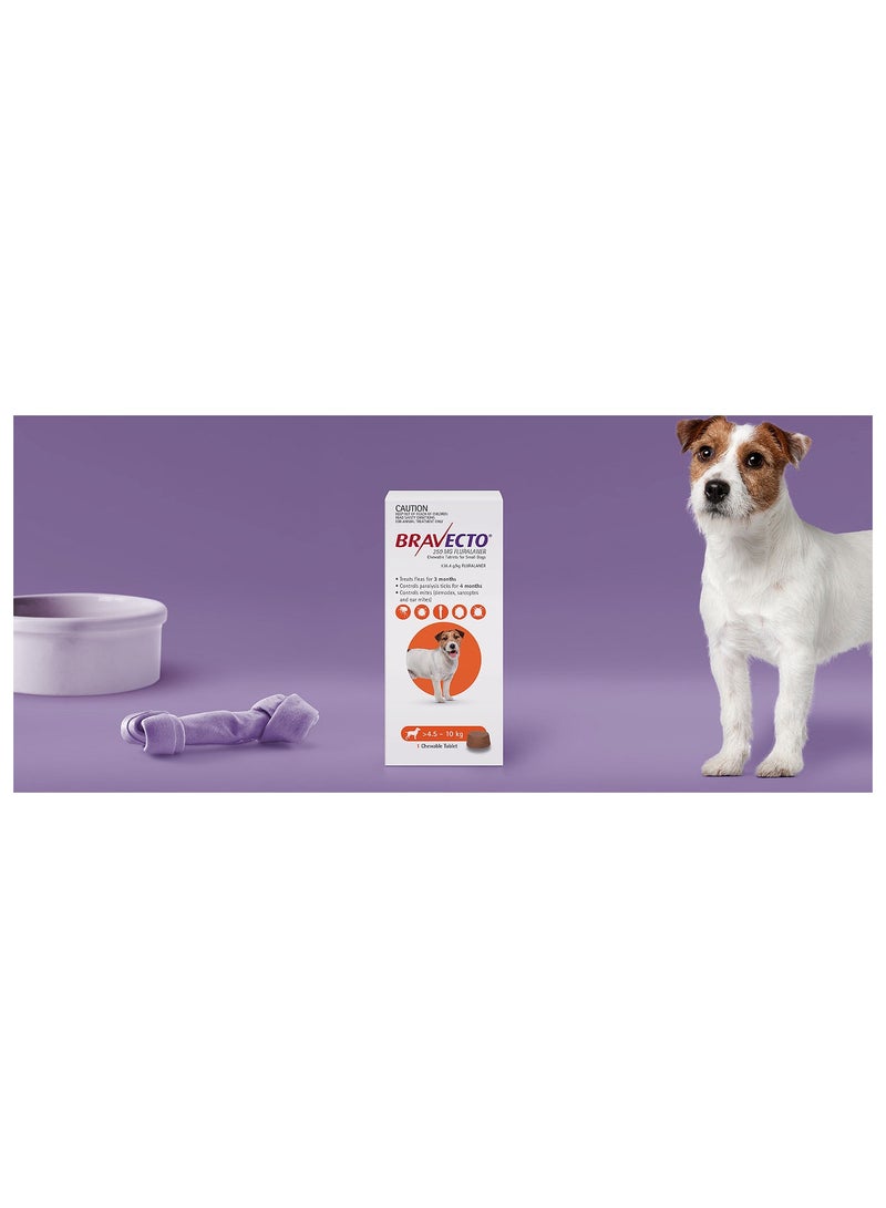BRAVECTO Flea & Tick Chew-able Tablet for Small Dogs 4.5–10 kg - Image 2