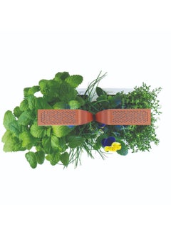 Veritable Véritable® SMART White Copper In-door Garden - Organic- pesticide and GMO free - Made in France  - Image 2