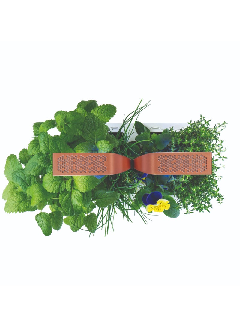 Veritable Véritable® SMART White Copper In-door Garden - Organic- pesticide and GMO free - Made in France  - Image 2