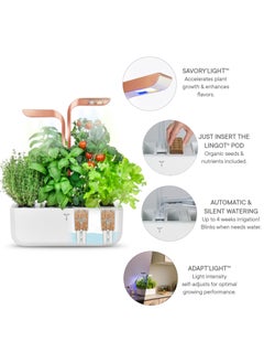 Veritable Véritable® SMART White Copper In-door Garden - Organic- pesticide and GMO free - Made in France  - Image 3