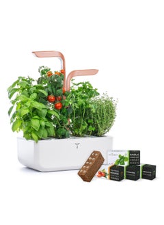 Veritable Véritable® SMART White Copper In-door Garden - Organic- pesticide and GMO free - Made in France  - Image 4