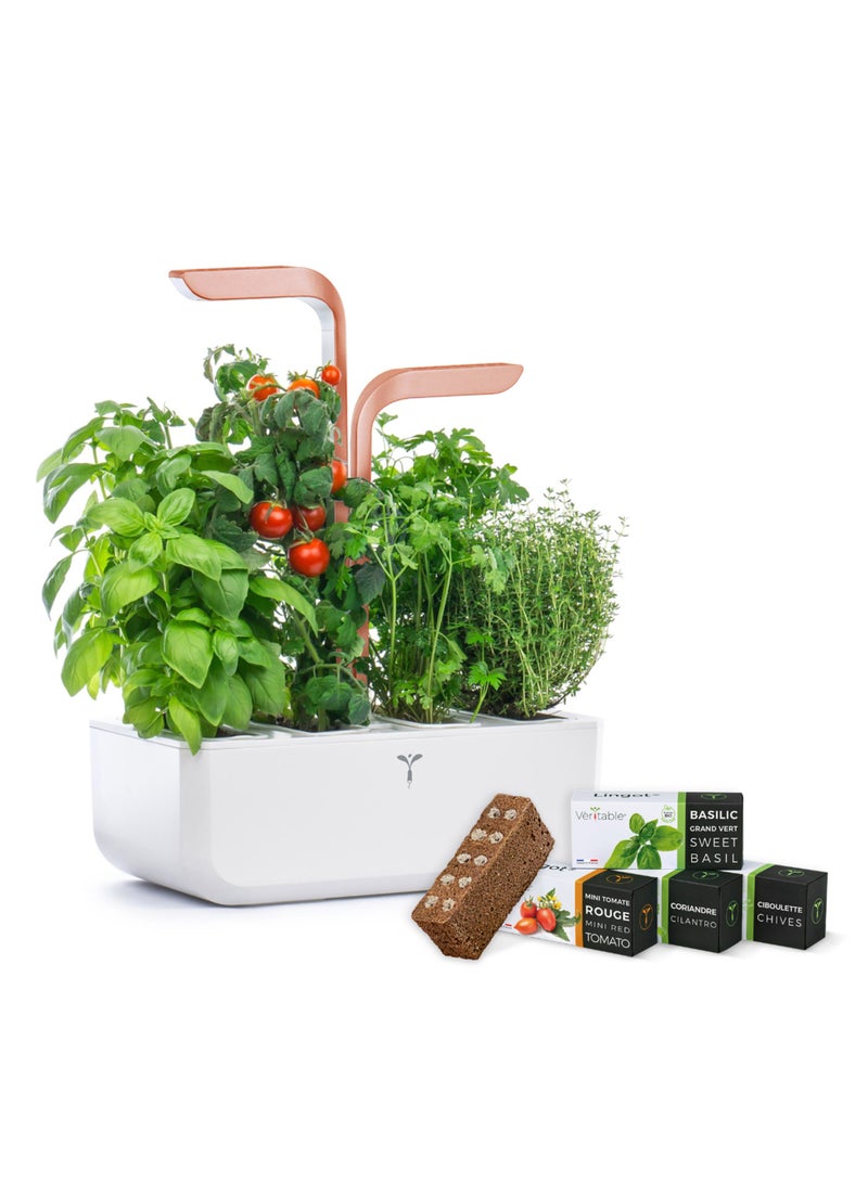 Veritable Véritable® SMART White Copper In-door Garden - Organic- pesticide and GMO free - Made in France  - Image 4