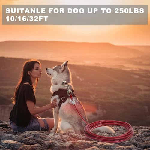 RK Trends 20 Meter Vinyl Coated Stainless Steel Tie Out Cable in with AntiRust Buckles | Load 60KG | Heavy Duty Rope for Blankets Curtains Camping Gardening Pets Outdoor Use - Image 5