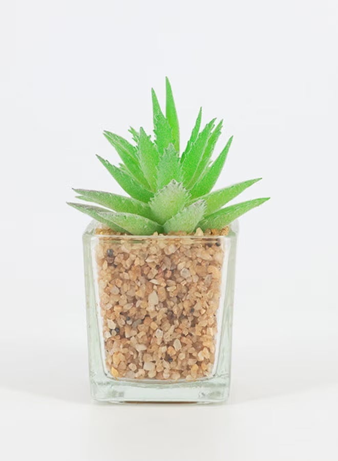 Rahalife Artificial Succulent Bonsai – Realistic Decorative Plants Pack of 2 - Image 1