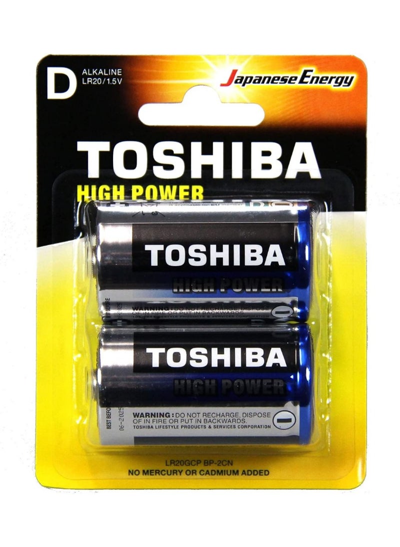 Toshiba D Type High Power Batteries 2pcs 258423