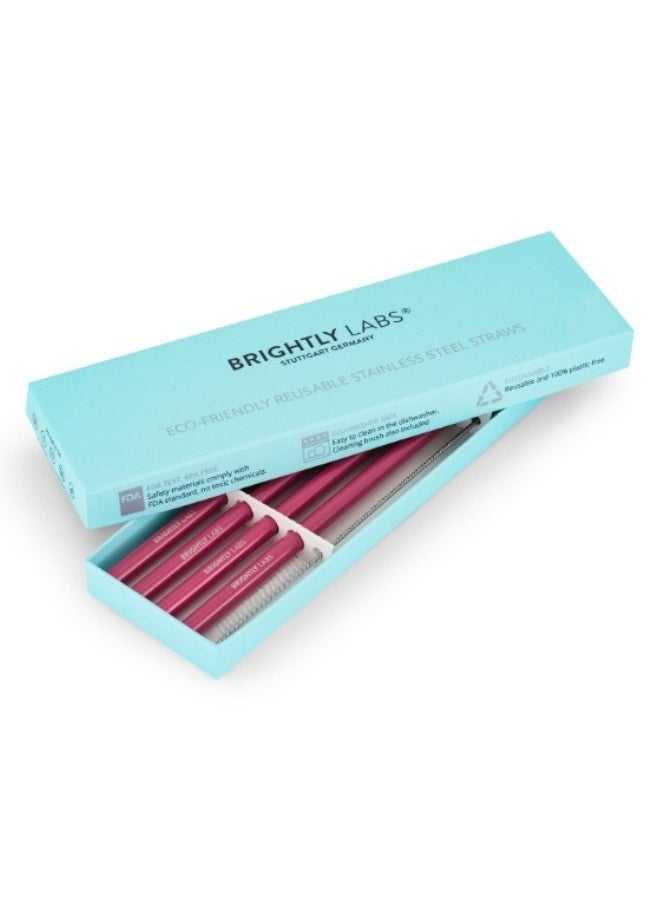 BRIGHTLY LABS Set of 4 Stainless Steel Reusable Metal Drinking Straws with Cleaning Brush - Eco-Friendly, Durable, Hygienic, and Sustainable Alternatives to Plastic Straws  - Image 5