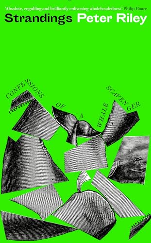 Strandings Confessions Of A Whale Scavenger