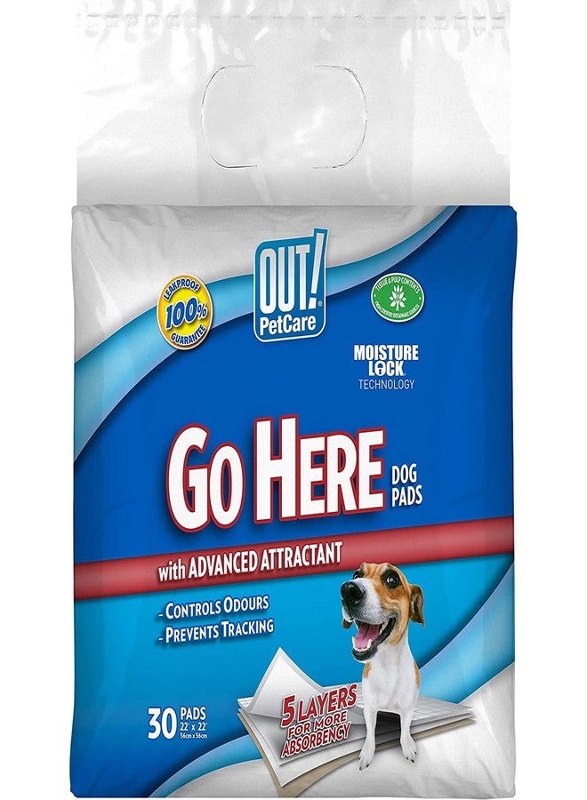 OUT Moisture Lock Training Pads 30 Pad Pack - Image 1