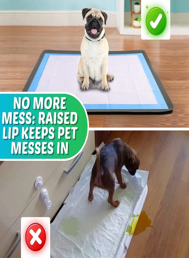 Skywin TidyFriend Dog Pee Pad Holder Tray Fits for 27.5” x 44” Wee Wee Pee Pads - Stable Grip, Raised Edges, Quick-Wipe Silicone Surface Dog Potty Tray Holder for Indoor Flooring Protection (Grey) - Image 2