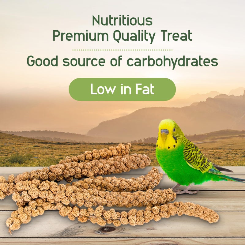 Living World â€“ Millet Spray for Birds, 17.6 Oz â€“ Premium Treat for Budgies, Canaries, Finches, Cockatiels and Other Pet Birds - Image 4