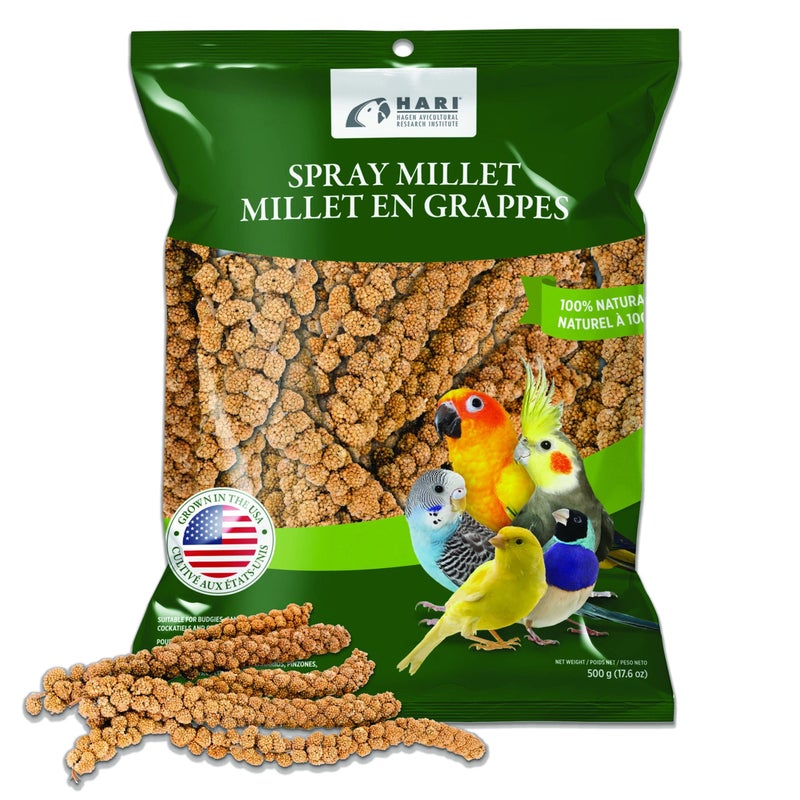 Living World â€“ Millet Spray for Birds, 17.6 Oz â€“ Premium Treat for Budgies, Canaries, Finches, Cockatiels and Other Pet Birds - Image 1