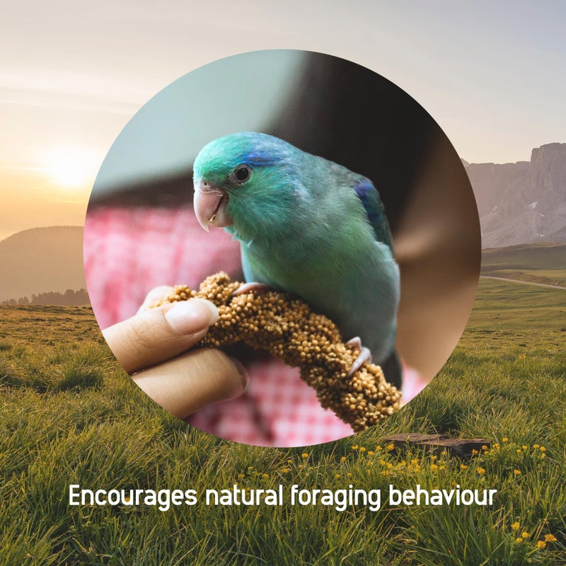 Living World â€“ Millet Spray for Birds, 17.6 Oz â€“ Premium Treat for Budgies, Canaries, Finches, Cockatiels and Other Pet Birds - Image 3