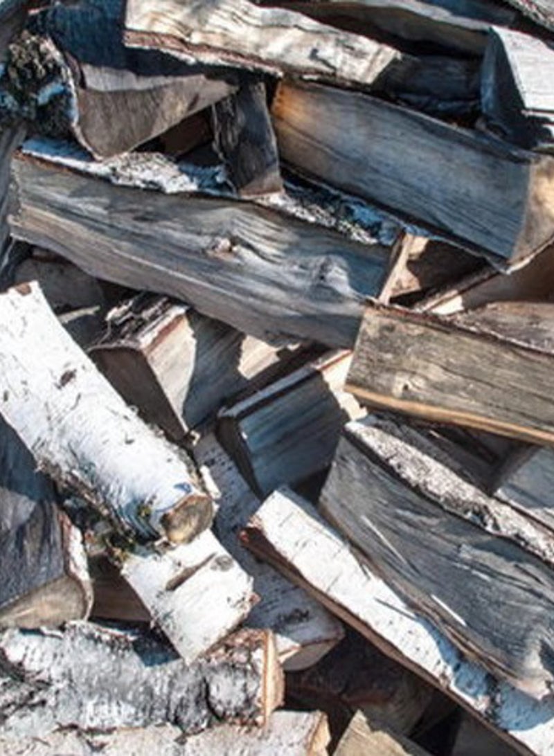 Bad Axe Birch Firewood 40L Sack (Approx. 15kg) | Premium Kiln-Dried Hardwood Logs | Low Moisture, Long-Lasting & Clean-Burning | Ideal for Fireplaces, Wood Stoves, Fire Pits & BBQ - Image 3