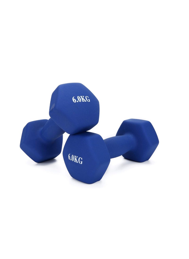 ALCOACH Vinyl Coated Dumbbell for Exercise and Fitness 6 kg  - Image 3
