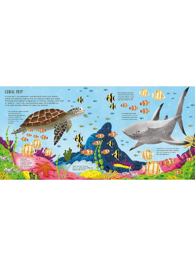 Pop-Up Planet: Oceans  - Image 3