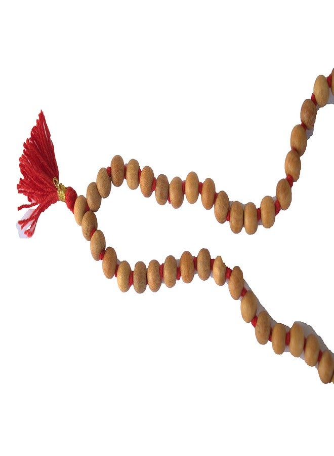 GRI9 8MM Tulsi mala Beads Necklace Holy Basil 108 + 1 Beads Ram Japa Prayer Mala Energized 108 Hindu Tibetan Buddhist Rosary for Chanting Mantra (Red Tessel) - Image 2