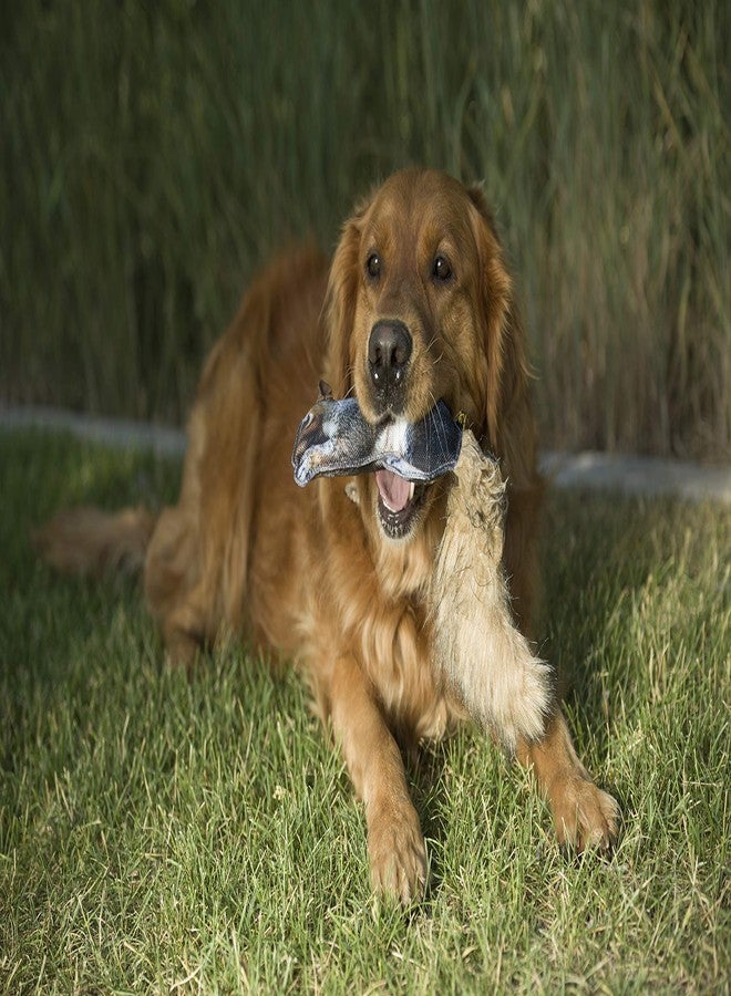 Browning Pet Toys, Durable Dog Toys for Tug and Fetch, Squirrel Fabric Squeaker Toy - Image 2