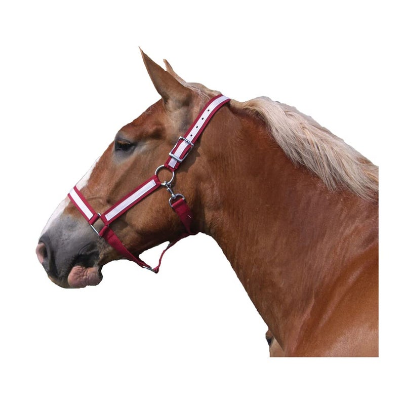 Intrepid International Draft Horse Nylon Halters with Overlay RedWhite