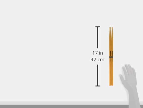 ProMark Forward Rebound 5A ActiveGrip Drumsticks, R5AAGC, Tacky Active Grip Finish, Clear Drum Sticks, Acorn Tip, Hickory Wood - 1 Pair - Image 3