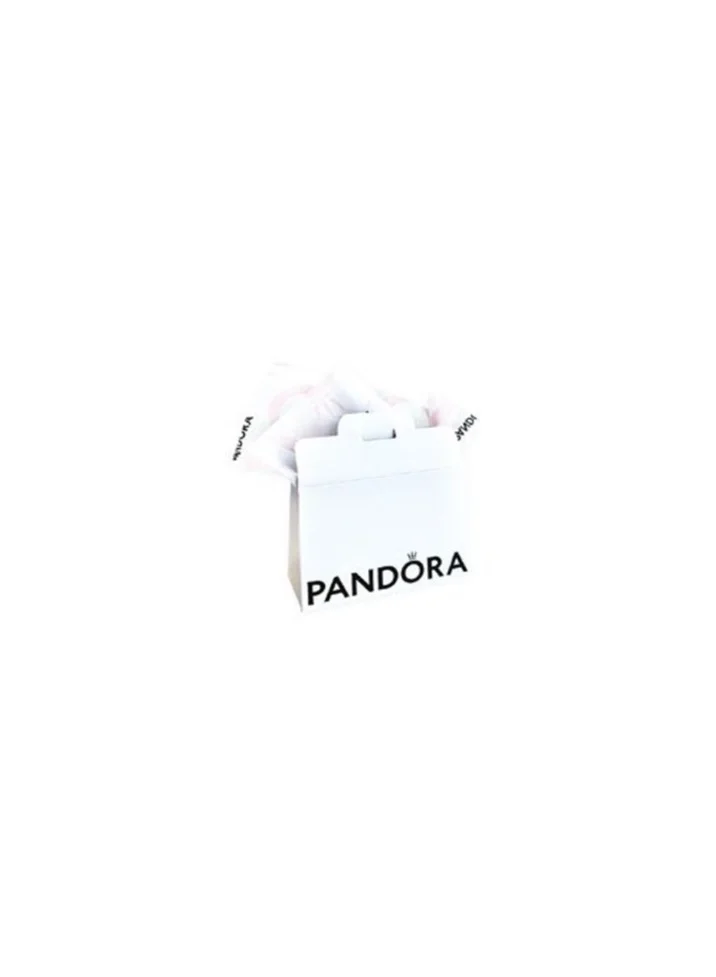 PANDORA Small Paper Pouch Bvi