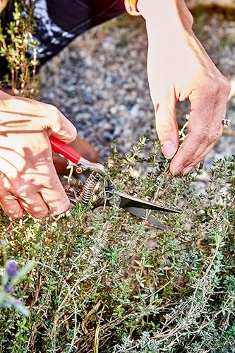 Corona FS-4350 Thinning Shears Cushioned Non-Slip Grip, Steel - Image 4