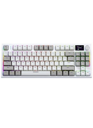 Business Gray Blue Whale Switch