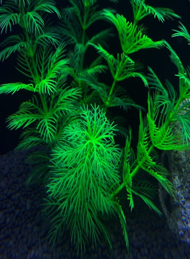 TANOMA Artificial Aquarium Plants Plastic, Fake Plants for Aquarium Fish Tank, Realistic Plant 10PCS - Image 5