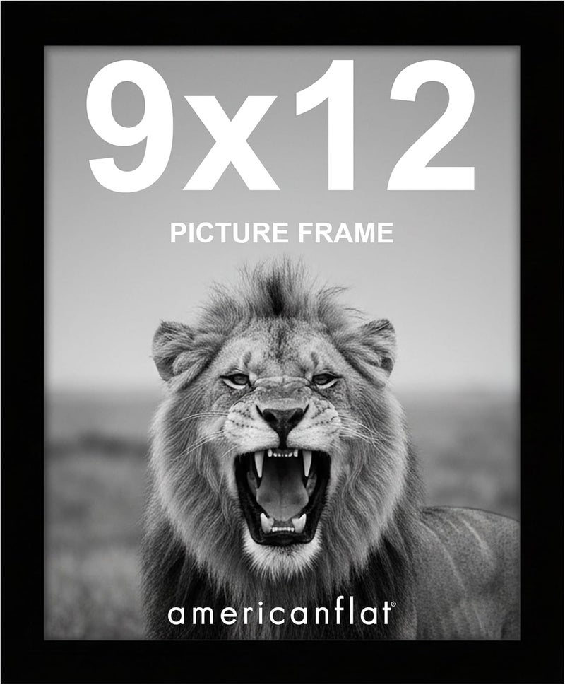 Americanflat 9x12 Picture Frame in Black - Composite Wood with Shatter Resistant Glass - Horizontal and Vertical Formats for Wall - Image 1
