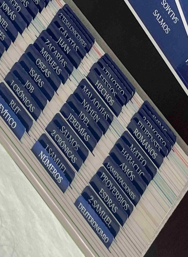 thinkor Spanish Laminated Bible Tabs, pestañas para biblia en español, Reposition Large Print Stickers, Easy to Read and Apply Bible Tabs for Women and Man (Spanish Blue) - Image 1