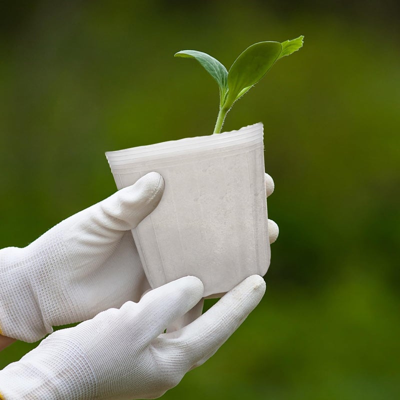 40 Pcs 3.5 Inch Plastic Nursery Pots Small Planters For Seedlings Indoor Gardening - Image 5