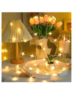 20 LED Star String Lights 3 Meters Fairy Christmas Lights Battery Operated for Indoor & Outdoor, Party, Wedding and Holiday Decorations Warm White (C-3M-20LEDs)
