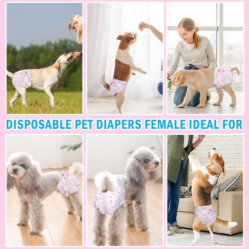 Dono Super Absorbent Diapers Disposable Puppy Diaper for Female Dog 8 COUCHES (XXL) - Image 5