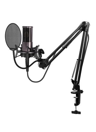 Yanmai MICPRO X2 Cardioid Condenser Microphone Bundle – Gradient Mesh, Active Noise Reduction, All-Metal Plug-and-Play Kit with Shock Mount & Pop Filter for Studio, Streaming, Gaming & Music - pzsku/ZA099FC17659FC46BA193Z/45/1743491068/79a09f6d-bcb1-4998-b3b6-57dd6a83eb5d