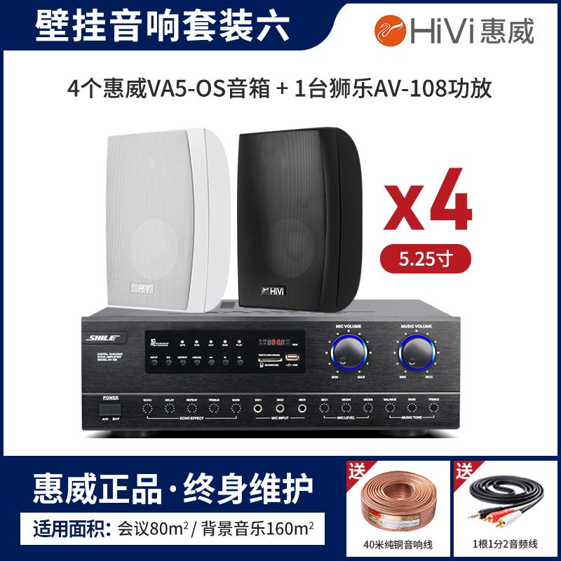 Hivi Va4-Os Wall-Mounted Audio Shop Background Music Conference Room Speaker System Va5-Os Suit Va6-Os - Image 1
