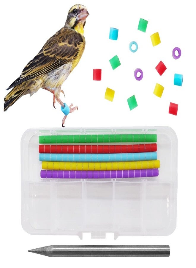 FOIBURELY 100 pcs Bird Ring Leg Bands for Gouldian Zebra Finch Canary Society Bird Foot Ring with 1 Installer(Diameter 3mm) - Image 1
