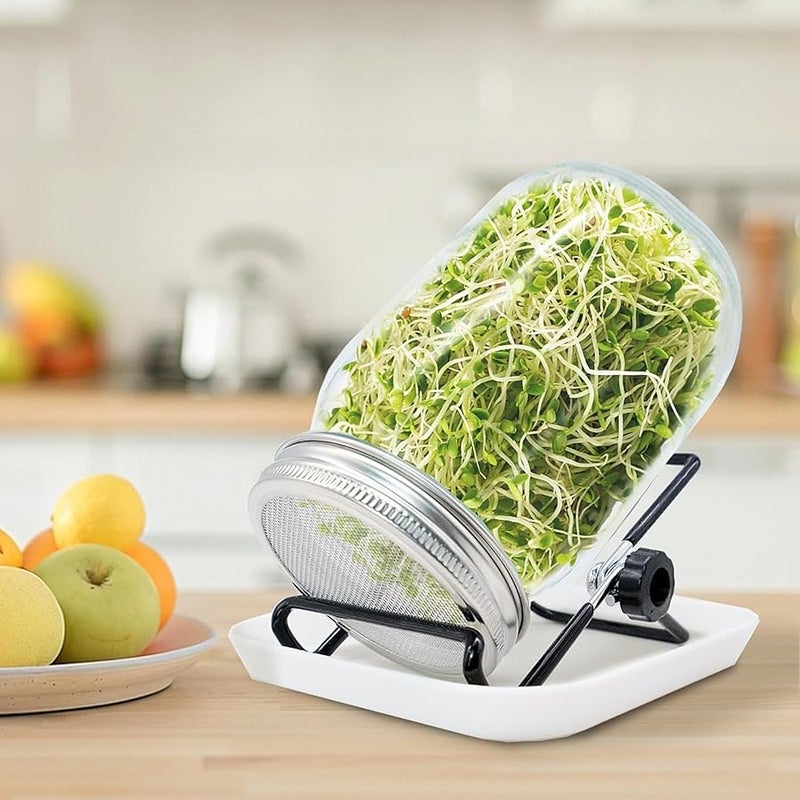BLLREMIPSUR Sprouting Jar, Sprouts Growing kit, Mason Jar for Bean Sprouts Grow, Seed Sprouter Set for Growing Alfalfa, Mung Bea - Image 5