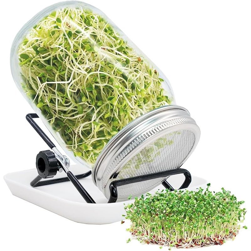 BLLREMIPSUR Sprouting Jar, Sprouts Growing kit, Mason Jar for Bean Sprouts Grow, Seed Sprouter Set for Growing Alfalfa, Mung Bea - Image 1