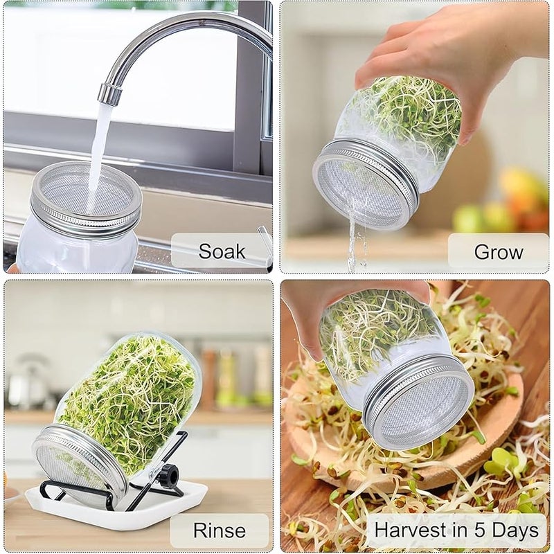 BLLREMIPSUR Sprouting Jar, Sprouts Growing kit, Mason Jar for Bean Sprouts Grow, Seed Sprouter Set for Growing Alfalfa, Mung Bea - Image 2
