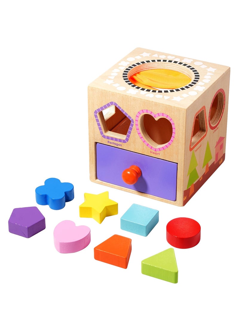 general Educational Early Education Multi-functional Building Blocks Sensory Touch Shapes with Hand-Eye Coordination Toys - Image 1