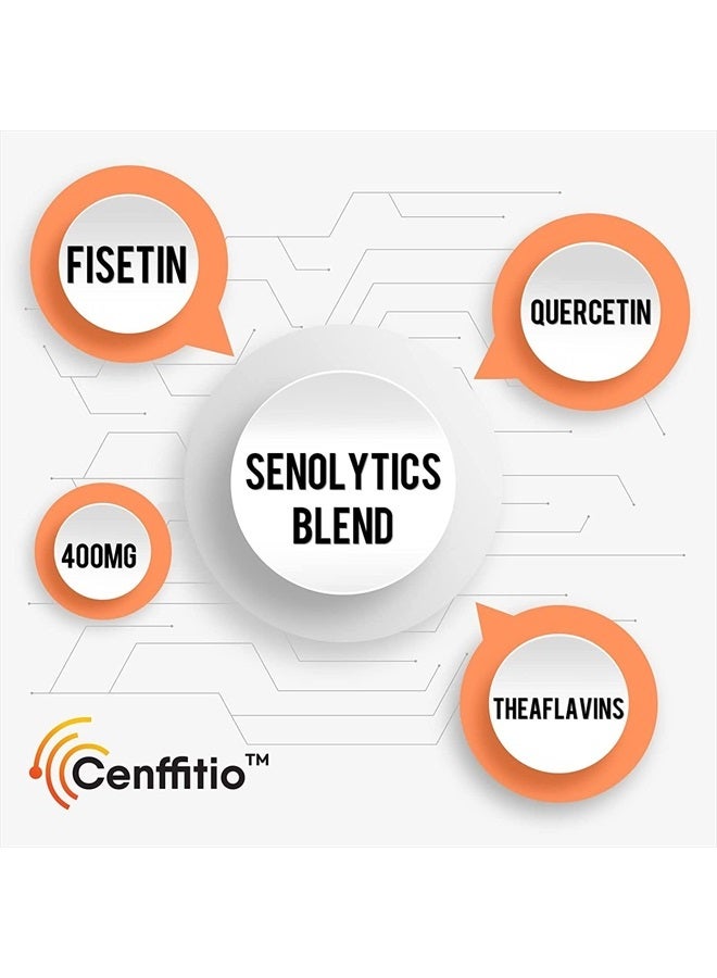 Cenffitio كبسولات ليبوسومال أبيجينين 500 ملغ - مكمل أبيجينين الأمثل مع فيستين وكيرسيتين وثيلافينز - إمداد لمدة 8 أشهر - Image 5